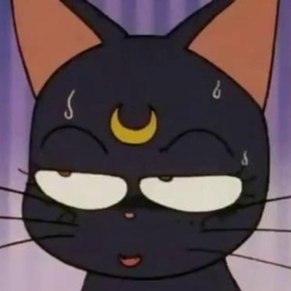 Meet your Posher, Ali - Picture 1 of 1